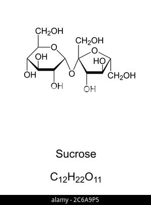 Saccharose, gewöhnlicher Zucker, chemische Struktur. Disaccharid besteht aus den beiden Monosacchariden Glucose und Fructose. Stockfoto