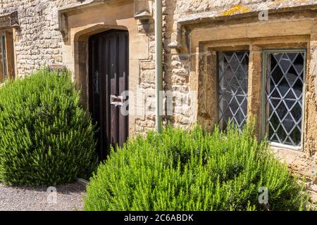 Zwei große Rosmarinsträucher wachsen vor der Haustür von Rosemary Cottage im Cotswold Dorf Lower Swwell, Gloucestershire UK Stockfoto