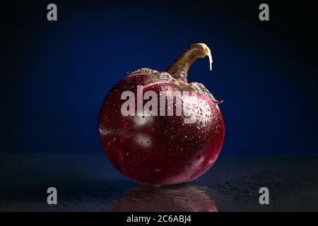 Eine runde Aubergine mit Wassertropfen, mit einer Reflexion auf einem dunkelblauen oder schwarzen Hintergrund. Isoliert Stockfoto