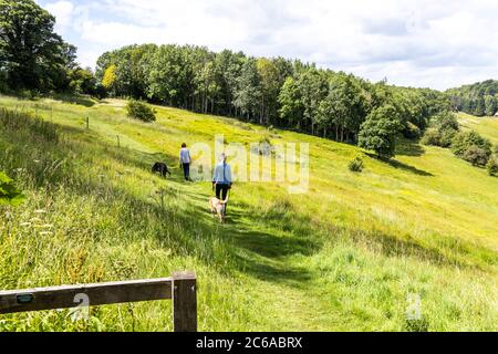 Zwei Damen, die ihre Hunde mit auf einen Spaziergang entlang des Wardsway im Tal des Flusses Windrush, dem Cotswold-Dorf Naunton, Gloucestershire, nehmen. Stockfoto