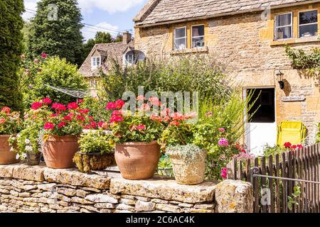Geranien in Töpfen außerhalb Rose Cottage im Cotswold Dorf Naunton, Gloucestershire UK Stockfoto