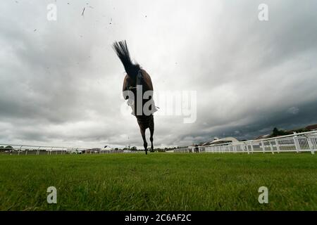 Eine allgemeine Ansicht, wie Läufer einen Zaun während der Play LOW6 Picks bei low6.com Anfänger Handicap Chase in Stratford-on-Avon Racecourse zu löschen. Stockfoto