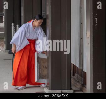 Miko oder Schreinmädchen auf dem Meiji Jingu Shinto Schreingelände, Tokyo, Japan Stockfoto