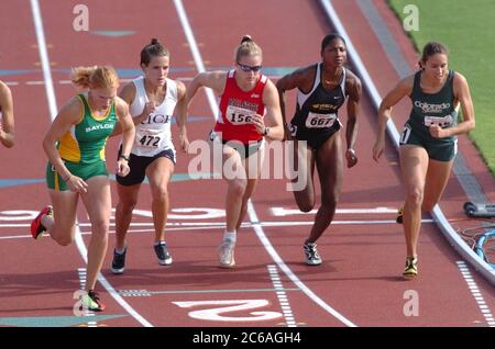 Austin, Texas, USA, Juni 2004: Zu Beginn des 800-Meter-Laufs bei der National Collegiate Athletic Association (NCAA) Division I Outdoor Track & Field Championships starten Frauen von der Startlinie. ©Bob Daemmrich Stockfoto