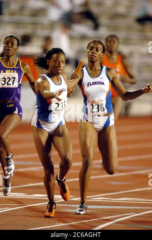 Juni 2004, Austin, Texas, USA: Sportlerinnen der University of Florida führen bei einem Staffelrennen bei der National Collegiate Athletic Association (NCAA) Division I Outdoor Track & Field Championships einen Staffelwechsel durch. ©Bob Daemmrich Stockfoto