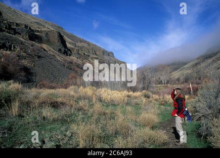 Umtanum Creek Canyon, Yakima River Canyon Scenic and Recreational Highway, Wenas State Wildlife Area, Washington Stockfoto