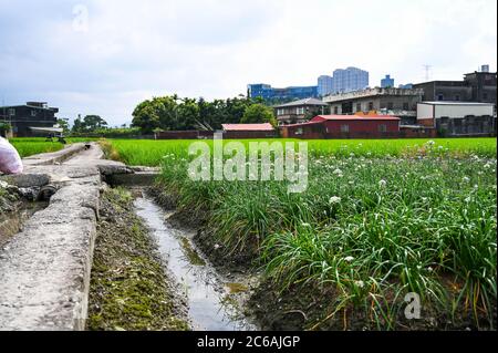 Daxi Schnittlauch, Taiwan - SEP 08, 2019: September in den Herbst vor dem schönen Daxi Chinesen Stockfoto