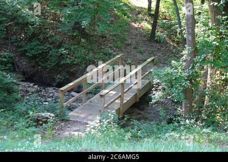 Eine bewaldete Fußbrücke über einen Bach mit Blick über den Kopf Stockfoto