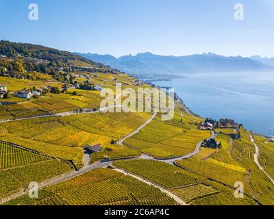 Luftaufnahme mit Drohne über Weinberge in goldener Herbstfarbe, Lake Leman und Alps Mountain. Region Lavaux, die ein UNESCO-Weltkulturerbe in der Schweiz ist Stockfoto