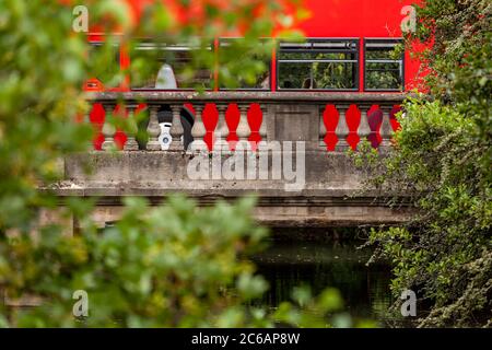 Roter Bus, der die Baluster und architektonische Details der Magdalen Brücke über den Fluss Cherwell in Oxford, England passiert Stockfoto