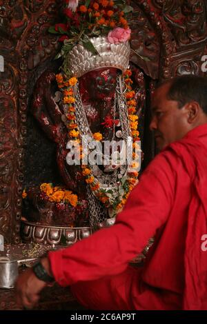 Hohepriester sitzt vor der Statue der Göttin Kali im Hauptheiligtum im Dakshinkali Tempel in der Nähe von Kathmandu, Nepal. Einer der wichtigsten Hindu-Tempel in Nepal, der der Göttin Kali gewidmet ist, ist für seine Tieropfer bekannt, die im Hauptheiligtum stattfinden. Stockfoto