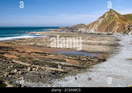 Einsamer Spaziergänger am Strand von Speke's Mill Mouth, North Devon, Großbritannien Stockfoto