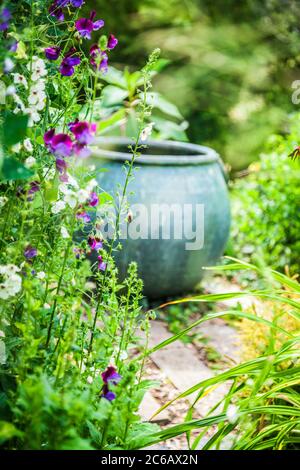 Ein großer Pflanzenbehälter, der als Brennpunkt in einem Sommergarten verwendet wird. Stockfoto