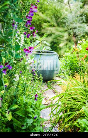 Ein großer Pflanzenbehälter, der als Brennpunkt in einem Sommergarten verwendet wird. Stockfoto