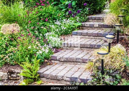 Block gepflasterten Stufen von Gartenbeleuchtung, die zwischen krautigen und Strauchränder. Stockfoto