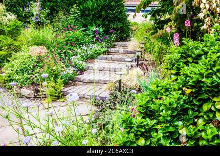 Block gepflasterten Stufen von Gartenbeleuchtung, die zwischen krautigen und Strauchränder. Stockfoto