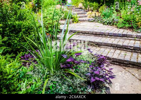 Block gepflasterten Stufen von Gartenbeleuchtung, die zwischen krautigen und Strauchränder. Stockfoto