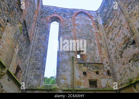 Gotisches Fenster. Ruinen des mittelalterlichen Klosters. Kloster Rosa Coeli in Dolni Kounice, Tschechien Stockfoto