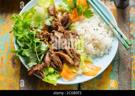 Hoisin Ente mit klebrigem Reis und Gemüsesalat Stockfoto