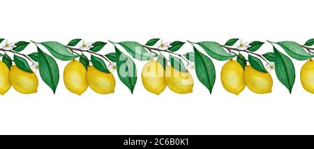 Aquarell Zitronenzweig nahtlose Grenze, ornamentale Zitronenfrucht Grenze, schöne tropische Zitronen Obst Dekoration, realistische Aquarell Frucht Stockfoto