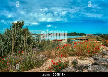 Blick von Thiessow über die ostsee nach Klein Zicker auf Rügen mit Blumen und Booten am Strand Stockfoto