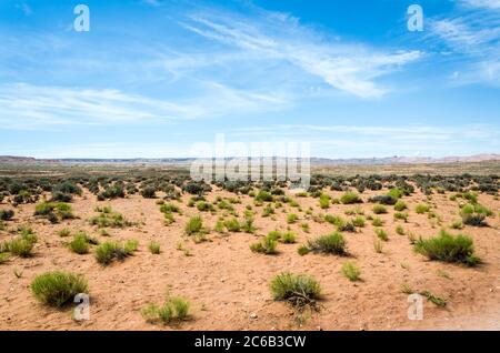 Schöne Wüstenlandschaft mit rotem Sand und grünen Büschen Stockfoto