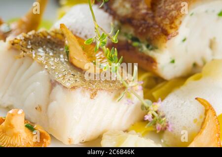 Gebackenes Zanderfilet auf einem Teller. Köstliches Fischgericht - Zander-Filet mit Pilzen und serviert mit Tagliatelle. Studioaufnahme Stockfoto