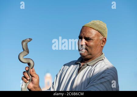 Ein Schlangenbeschwörer, mit Schlange, Djemaa el Fna, Marrakesch, Marokko, Nordafrika, Afrika Stockfoto