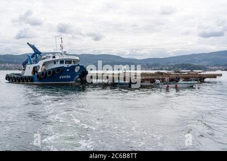 Muschelzucht Aquakultur Flöße in Redondela, Galicien, Spanien, Europa Stockfoto