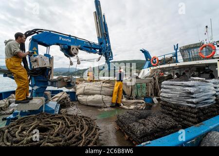 Fischer, die auf einem Boot arbeiten, um Muscheln von einem Muschelfloß in Redondela, Galicien, Spanien, Europa zu bekommen Stockfoto