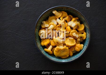 Erste Pfifferlinge Pilze von 2020. Kantareller. Cantharellus cibarius. Pilze in einer Schüssel. Stockfoto