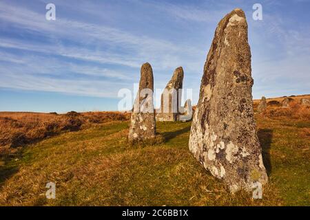 Uralte prähistorische stehende Steine in einem Steinkreis, Scorhill Stone Circle, Dartmoor National Park, Devon, England, Großbritannien, Europa Stockfoto