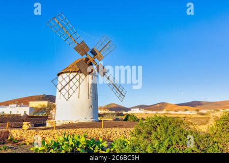 Tiscamanita, traditionelle Windmühle, Fuerteventura, Kanarische Inseln, Spanien, Atlantik, Europa Stockfoto