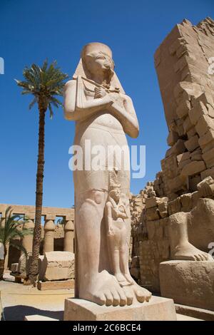Statue von Ramses II, großer Gerichtshof, Karnak-Tempel-Komplex, UNESCO-Weltkulturerbe, Luxor, Theben, Ägypten, Nordafrika, Afrika Stockfoto