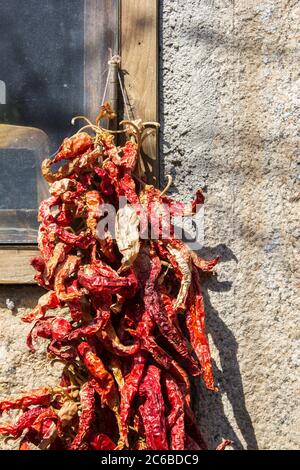 Rote Chilischoten vor einem Bauernhausfenster hängen Stockfoto