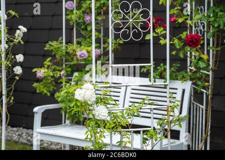 Ein nostalgischer Metallpavillon ist mit blauen Rosen überwuchert. Eine weiße Bank lädt zum Verweilen ein. Sommer in deutschland Stockfoto