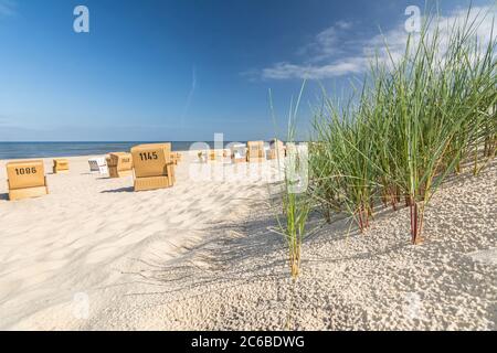 Strandgras und Sand mit Liegen im Hintergrund auf Sylt, Deutschland Stockfoto