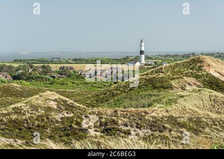 Leuchtturm in Dünenlandschaft auf Sylt, Deutschland Stockfoto