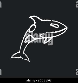 Weißes Orca-Kreidesymbol auf schwarzem Hintergrund. Gefährliche schwimmende Tier, Meeresleben, Meeresfauna. Fleischfresser Wasserwesen, Unterwasser Raubtier. Killer w Stock Vektor