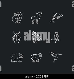 Tierarten Kreide weiße Symbole auf schwarzem Hintergrund gesetzt. Fliegende Vögel, Landtiere und Meeresbewohner. Vielfältige Tierwelt, exotische und gewöhnliche Fauna. I Stock Vektor