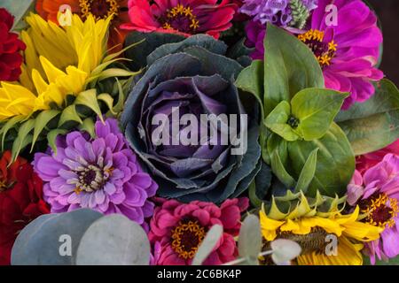 Herbstblumen zum Verkauf auf dem Madison Farmers Market in Wisconsin. Stockfoto