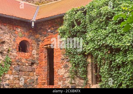 Ruinen des mittelalterlichen Klosters. Kloster Rosa Coeli in Dolni Kounice, Tschechien Stockfoto