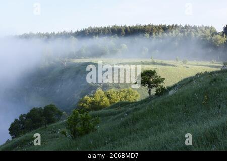 Morgennebel verschwindet in der Sonne auf grünen Hügeln mit Bäumen kopieren Raum Stockfoto