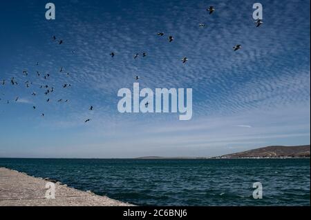 Ein Pier führt in den Ozean. Stockfoto
