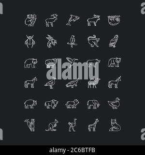 Wildlife Kreide weiße Symbole auf schwarzem Hintergrund gesetzt. Gewöhnliche Tiere und tropisches wildes Leben. Verschiedene Naturbewohner, Vögel, Säugetiere und Meeresleben Stock Vektor