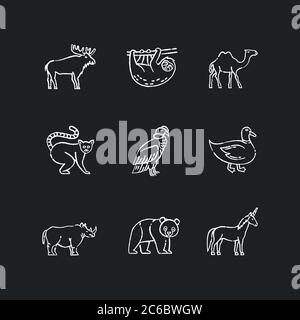 Säugetiere und Vögel Kreide weiße Symbole auf schwarzem Hintergrund gesetzt. Fliegende und Landtiere. Gemeinsame Waldtiere, tropische Fauna und Fantasy-Kreaturen. Ist Stock Vektor