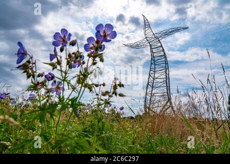 Emscherkerkkunst , Kunstwerk der Berliner Künstlergruppe Inges Idee, EIN scheinbar tanzender 35 Meter hoher Strommast, auf einer Wiese nahe dem Haus Ripphorst i Stockfoto