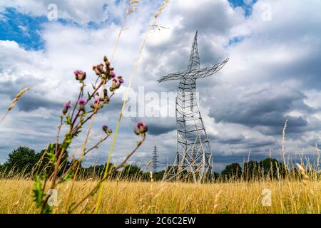 Emscherkerkkunst , Kunstwerk der Berliner Künstlergruppe Inges Idee, EIN scheinbar tanzender 35 Meter hoher Strommast, auf einer Wiese nahe dem Haus Ripphorst i Stockfoto