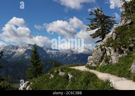 Weg zum Jenner im Berchtesgadener Land. Wunderschöne Aussicht auf die Berge der Alpen. Blühende Wiesen und Wanderweg in sonnigen Sommertag. National Stockfoto