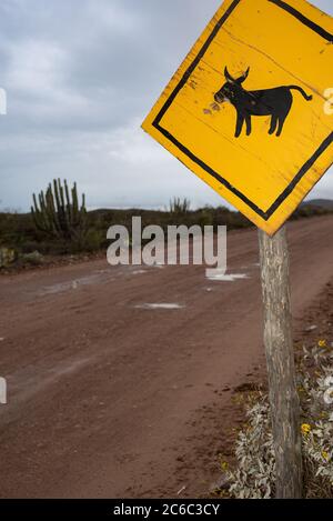 Ein hellgelbes Warnschild aus Holz entlang einer unbefestigten Straße in der Wüste warnt vor Eseln aus Freilandhaltung in der Gegend. Stockfoto